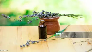 杭州桑拿行业最新动态：服务升级与安全保障并重，打造舒适健康新体验