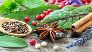 杭州按摩养生馆风向标：下一个爆点在哪里？深度市场观察