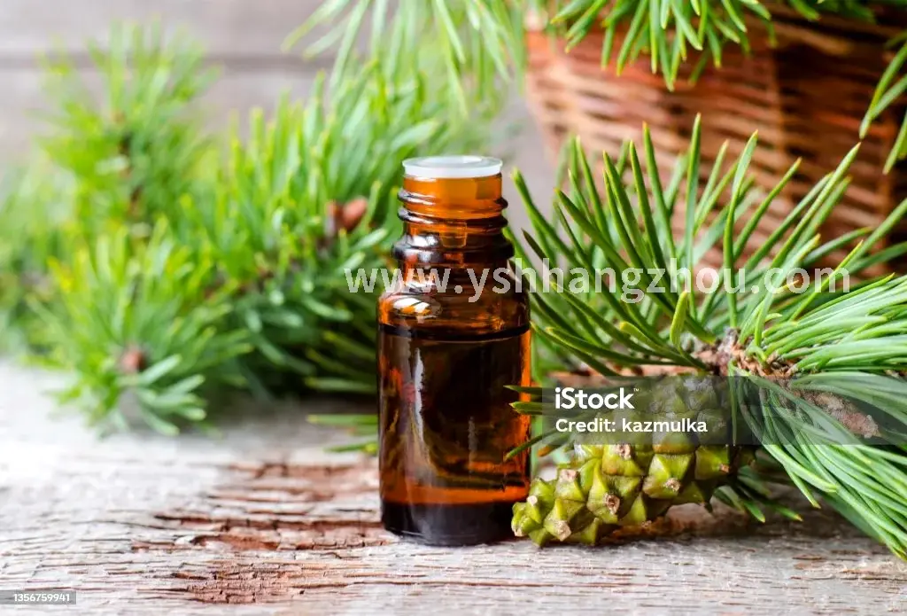 桑拿房内的舒适环境